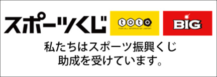 スポーツくじtoto、big