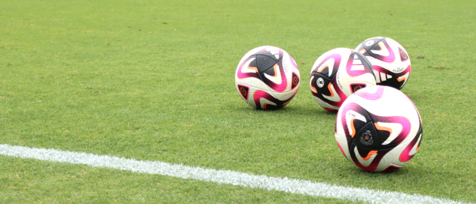 ニッパツ横浜ＦＣシーガルズ